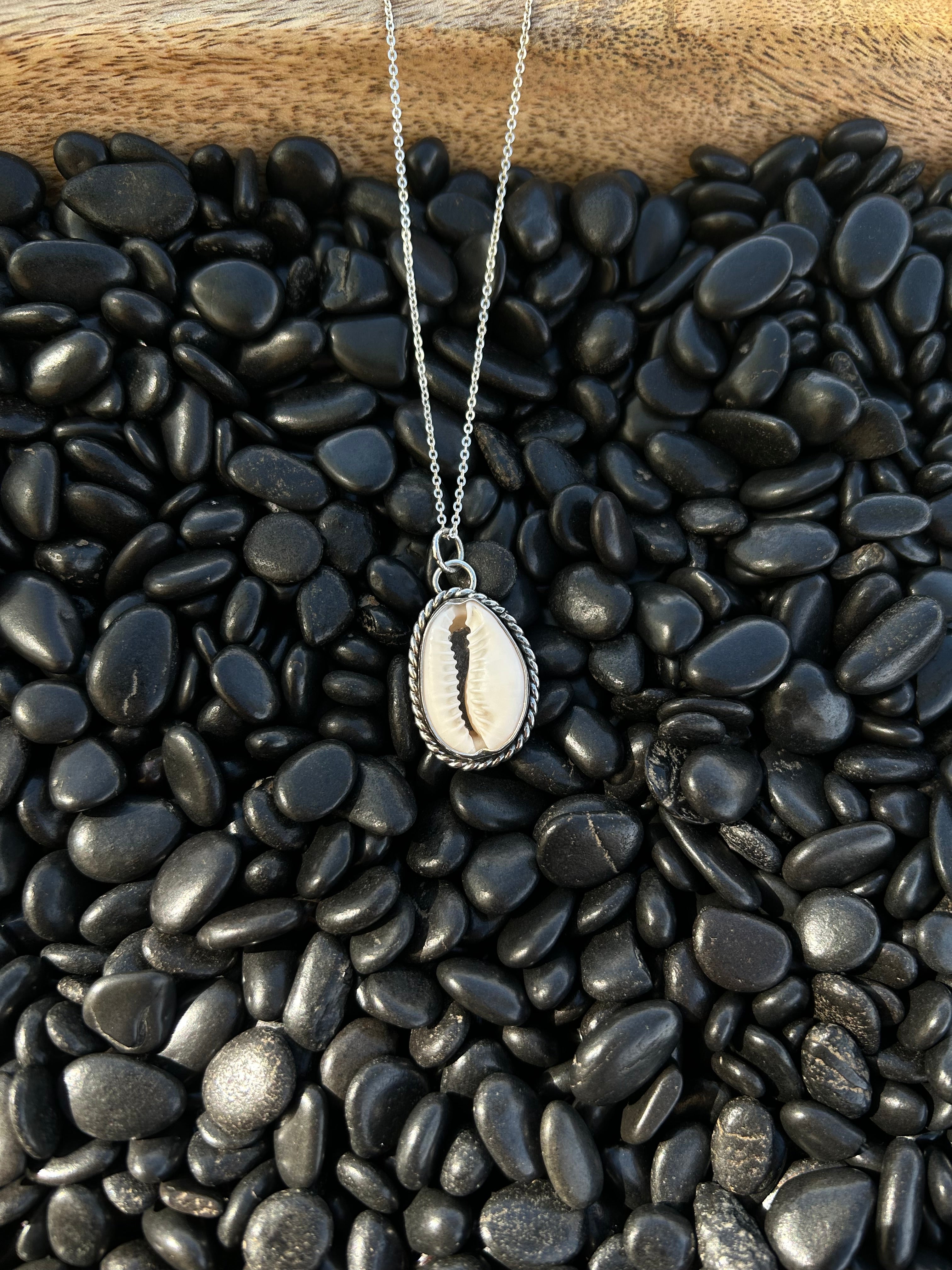 Coastal Drift Seashell Necklace
